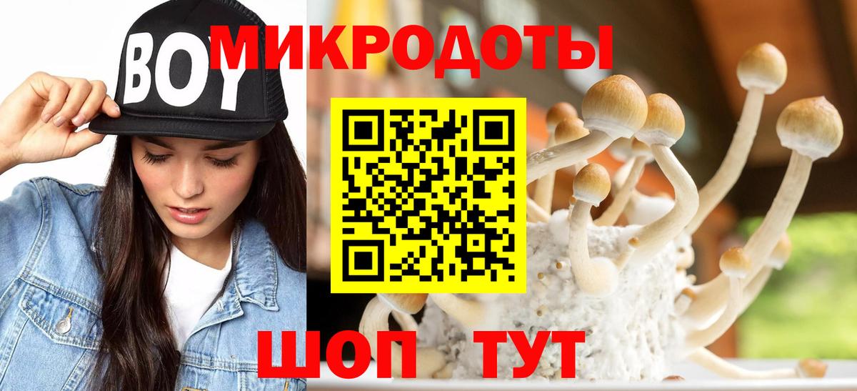 Галлюциногенные грибы Cubensis Ачинск